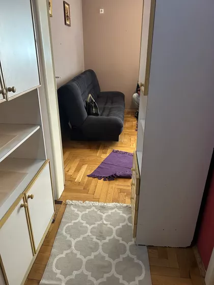 Dr Svetislava Kasapinovića | 4zida.rs