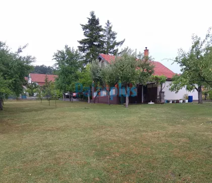 Koste Vujića | 4zida.rs