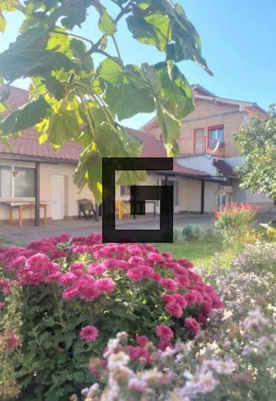 Cara Dušana | 4zida.rs