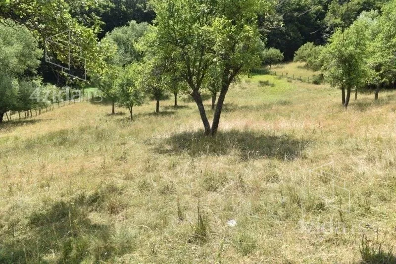 Plac | 4zida