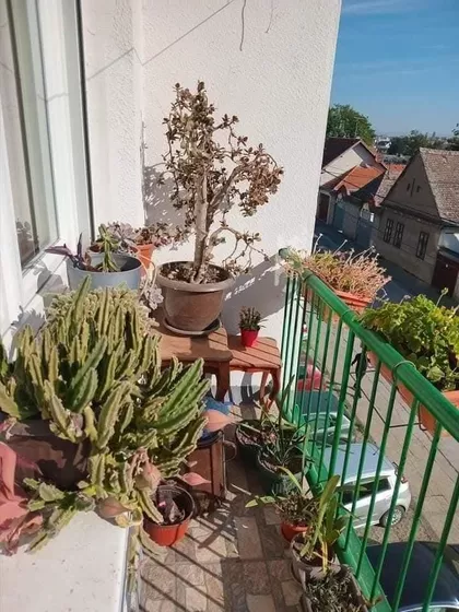 Gradske lokacije | 4zida.rs