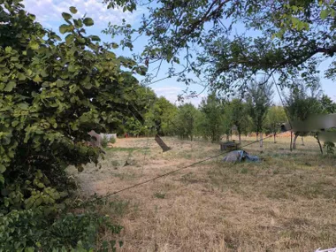 Ribnica