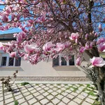 Telep, Gradske lokacije, Novi Sad | 4zida.rs | 4zida.rs