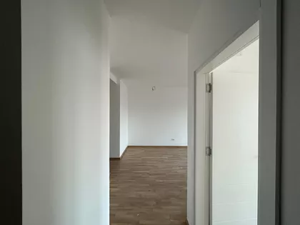 Kralja Petra I | 4zida.rs