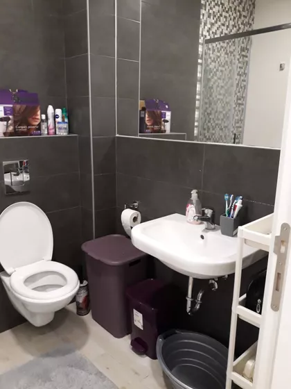 Jevrejska | 4zida.rs