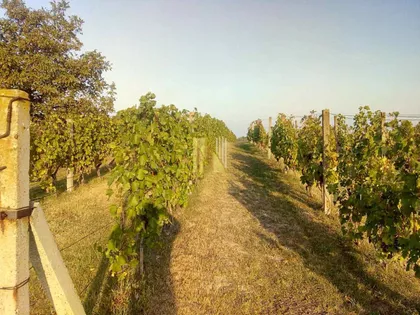 Rakovac | 4zida.rs