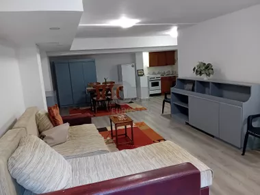 Borivoja Stevanovića
