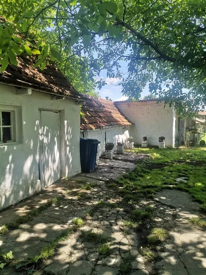 Palić | 4zida.rs