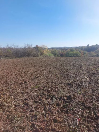 Nenadovac | 4zida.rs