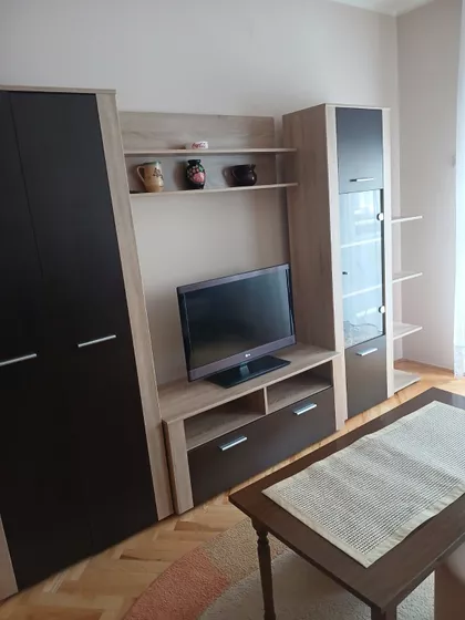 Dr Svetislava Kasapinovića | 4zida.rs