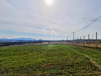 Dese Marković | 4zida.rs