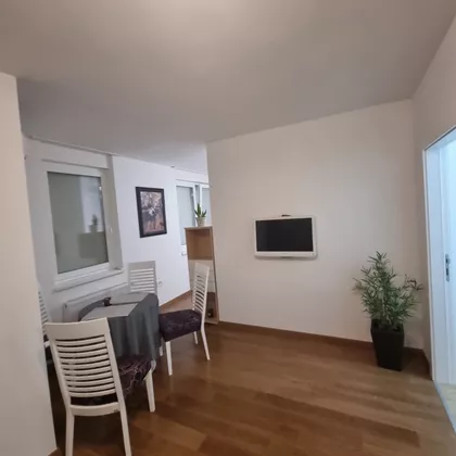 Cara Lazara 33 | 4zida.rs
