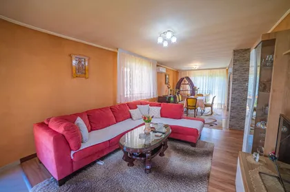 Mande Sudarević | 4zida.rs