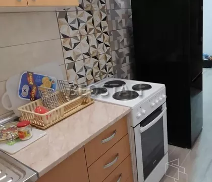 Dusana Krtica | 4zida.rs