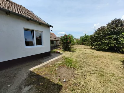 Mužlja | 4zida.rs