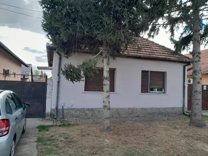 Ive Lole Ribara 88 | 4zida.rs