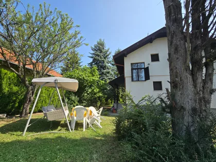Momira Korunovića | 4zida.rs