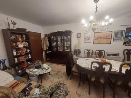 29. Novembra | 4zida.rs