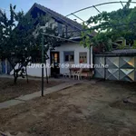 Novi Sad, Gradske lokacije, Adice | 4zida.rs | 4zida.rs