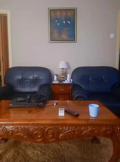 Lepenički Bulevar | 4zida.rs