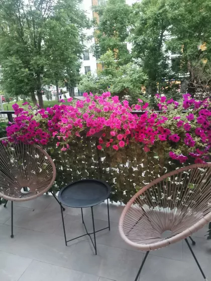 Šumadijska | 4zida.rs