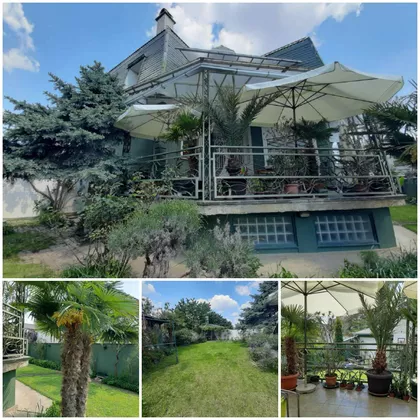 Miće Popovića | 4zida.rs