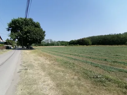 Palić | 4zida.rs