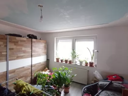 Srpski Šor | 4zida.rs