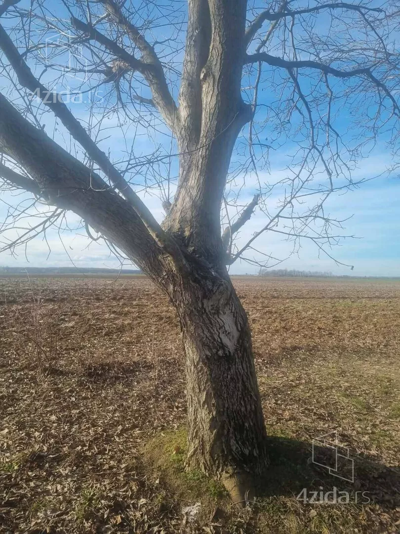 Poljoprivredno zemljište | 4zida