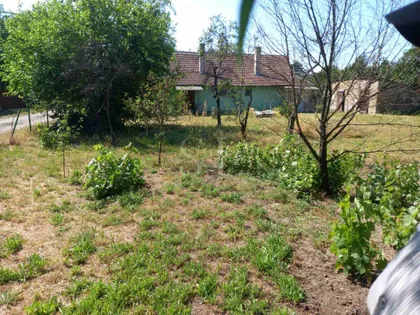 Zorka | 4zida.rs