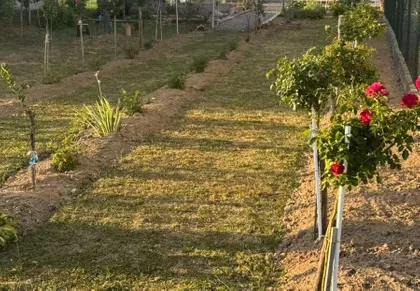 Novo Selo | 4zida.rs