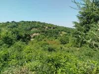 Plac | 4zida