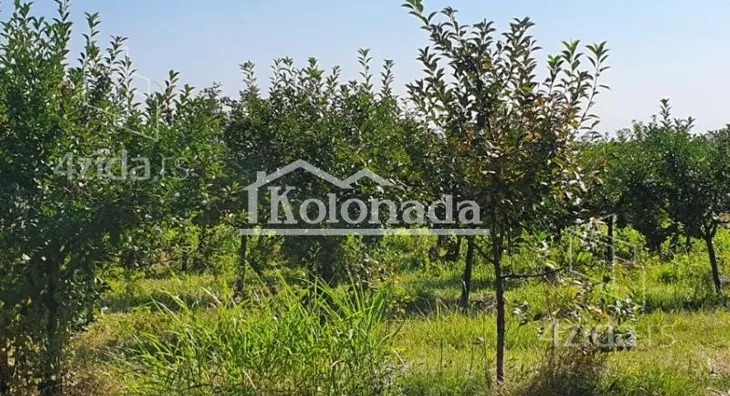 Poljoprivredno zemljište | 4zida