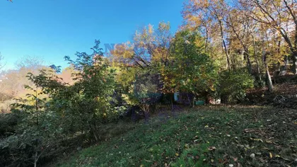 Popovica | 4zida.rs