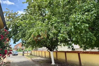 Šimanovci | 4zida.rs