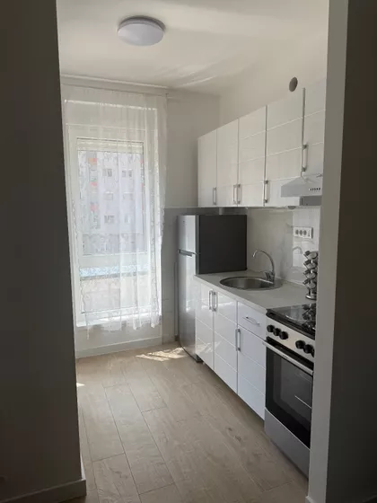 Lajoša Joa | 4zida.rs