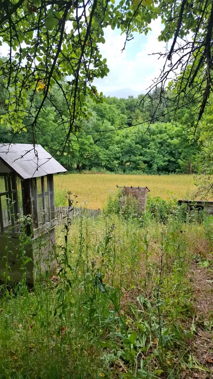 Dvorište | 4zida.rs