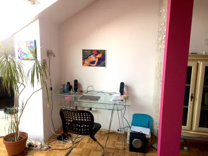 Sime Šolaje | 4zida.rs