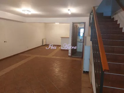 Diane Budisavljević | 4zida.rs