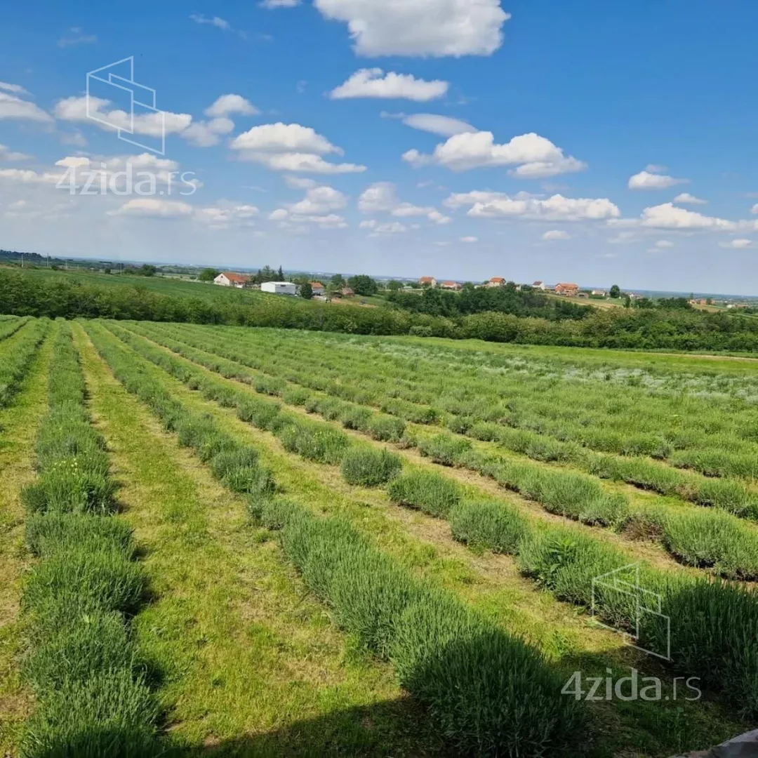 Poljoprivredno zemljište | 4zida