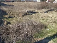 Poljoprivredno zemljište | 4zida