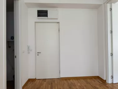 Čukarička Padina
