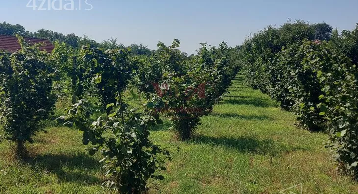 Poljoprivredno zemljište | 4zida
