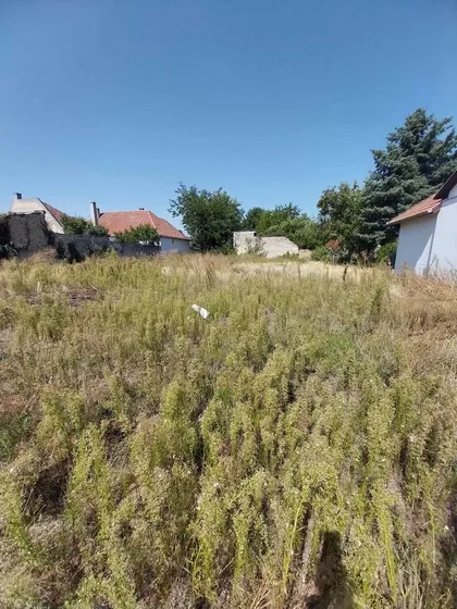 Novi Grad | 4zida.rs