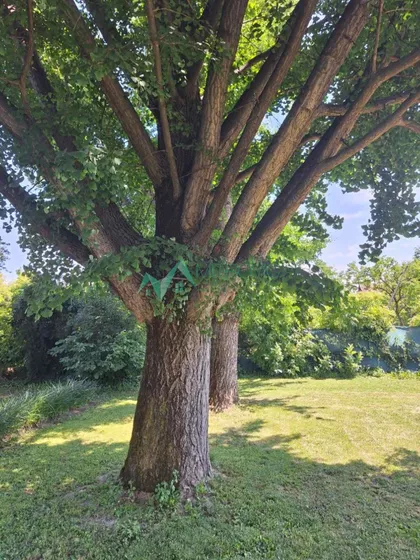 Begeč | 4zida.rs