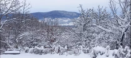 Milije Uroševića | 4zida.rs