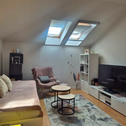 Novo Naselje | 4zida.rs