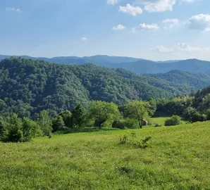 Kamenica, Okolne lokacije, Kraljevo, jednoetažna | 4zida.rs