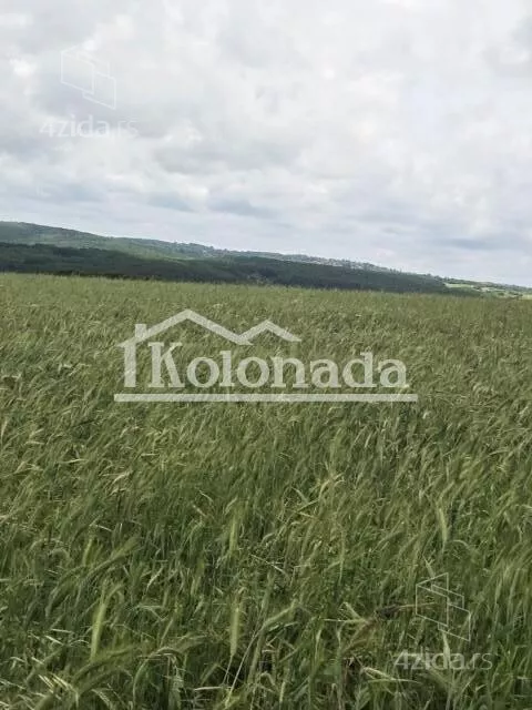 Poljoprivredno zemljište | 4zida