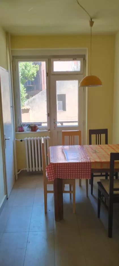 Petra Drapšina | 4zida.rs